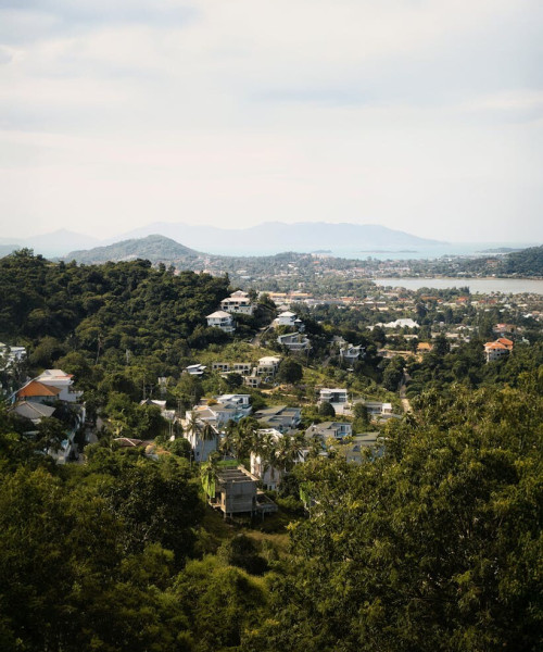 forêt koh samui