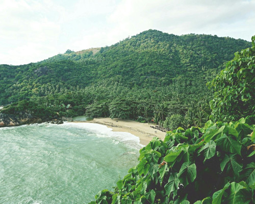 Plage tropicale à Koh Phangan
